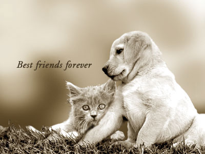 best-friends-forever