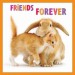 cs-8561-friends-forever-mini