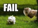 fail_dogs